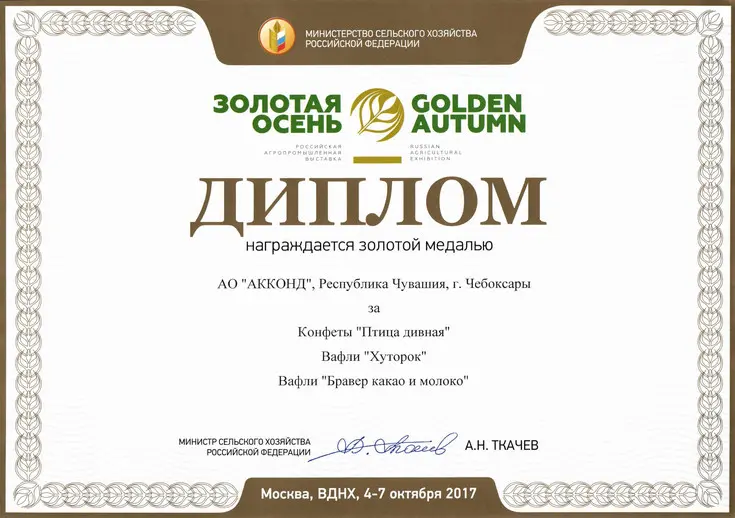 Золотая медаль и диплом